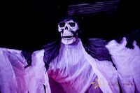 Disfruta de Halloween con Cefic PopUp