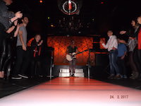 Disfruta la auténtica fista de Elvis con Pop Up